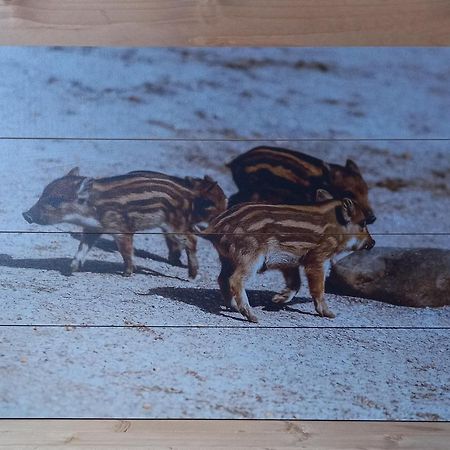 'T Zwientje Ermelo Bagian luar foto