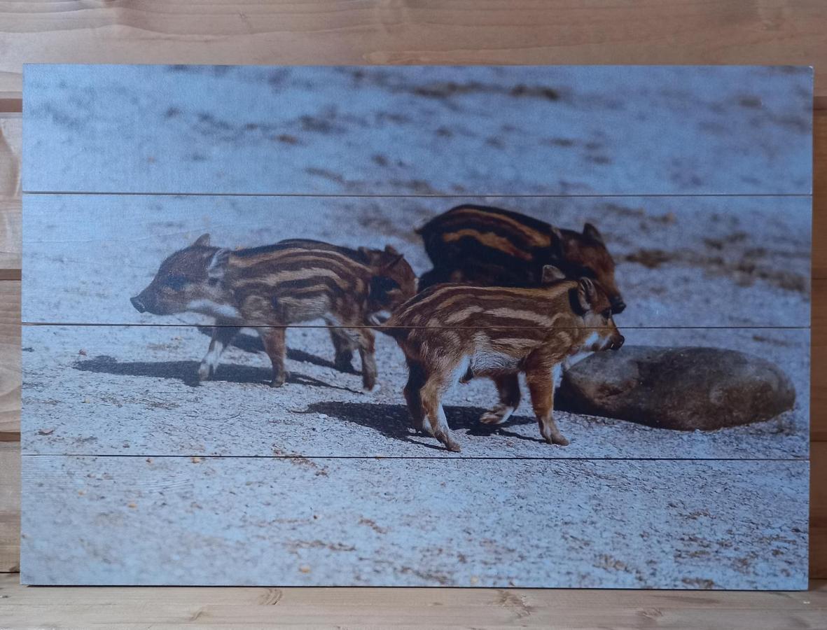 'T Zwientje Ermelo Bagian luar foto